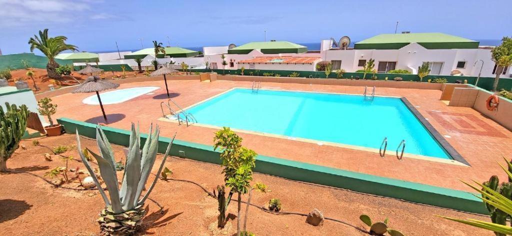 Dos Gatos Fuertaventura Villa Caleta De Fuste Exterior photo